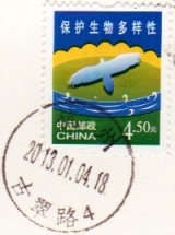 RECEIVED-YIQI-2013.1jan.22.2013-stamp